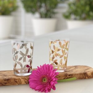 Set Of 6 Painted Tea Glasses Plume Clear