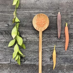 Olive Wood Modern Spoon 12"