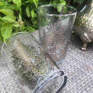 Set of 6 Moroccan Tea Glasses Olive Tree Design